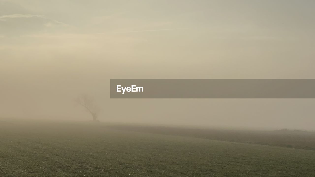 SCENIC VIEW OF FOGGY FIELD AGAINST SKY