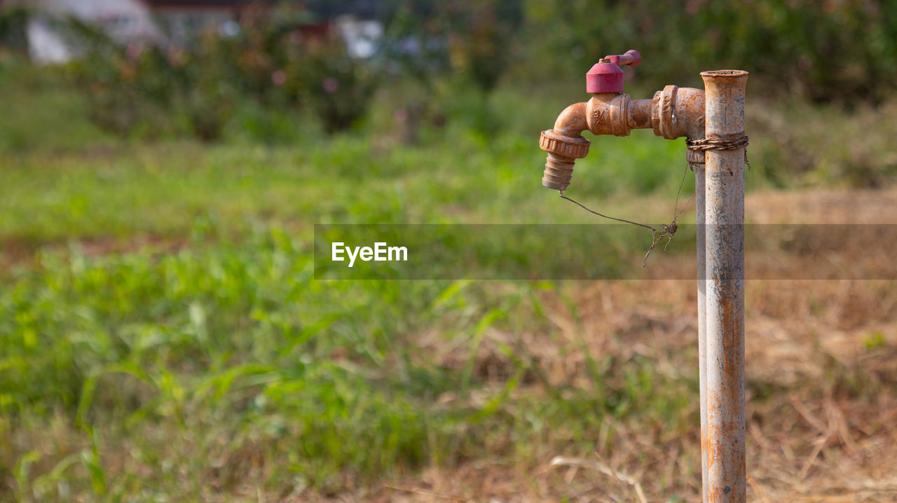 CLOSE-UP OF PERSON HOLDING STICK IN FIELD