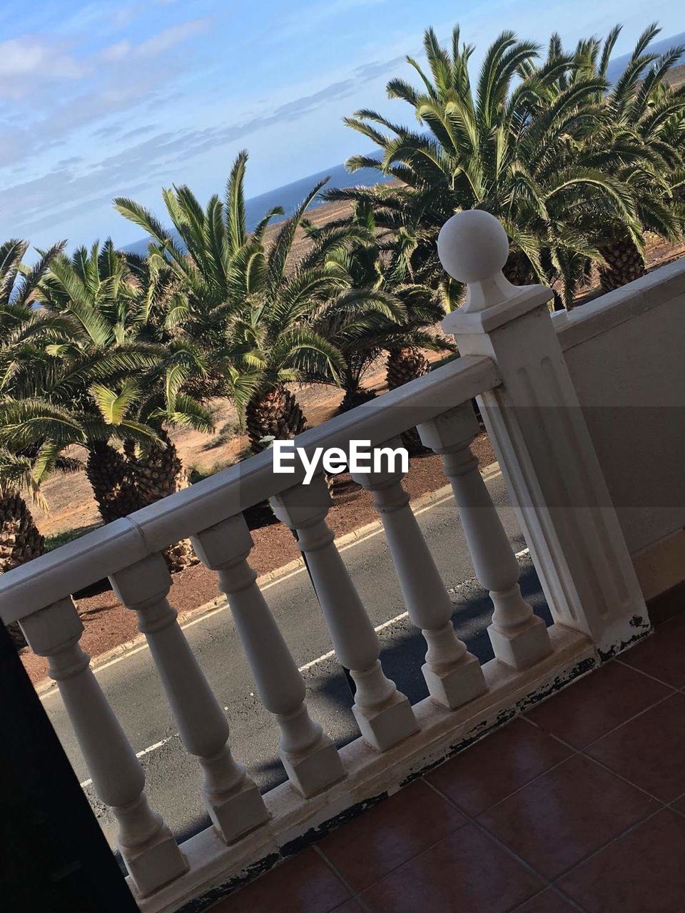 PALM TREE AGAINST SKY