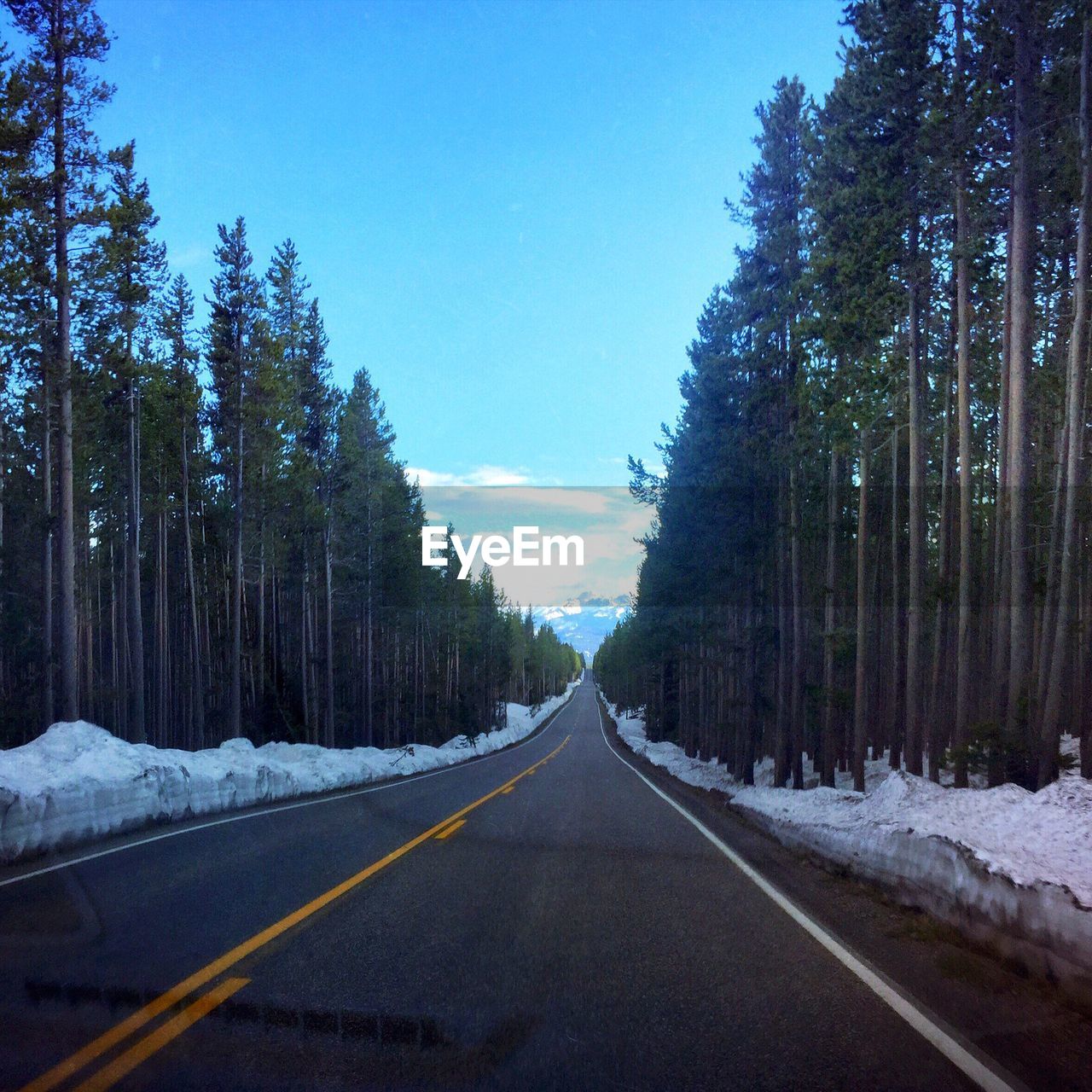 ROAD AMIDST TREES AGAINST SKY