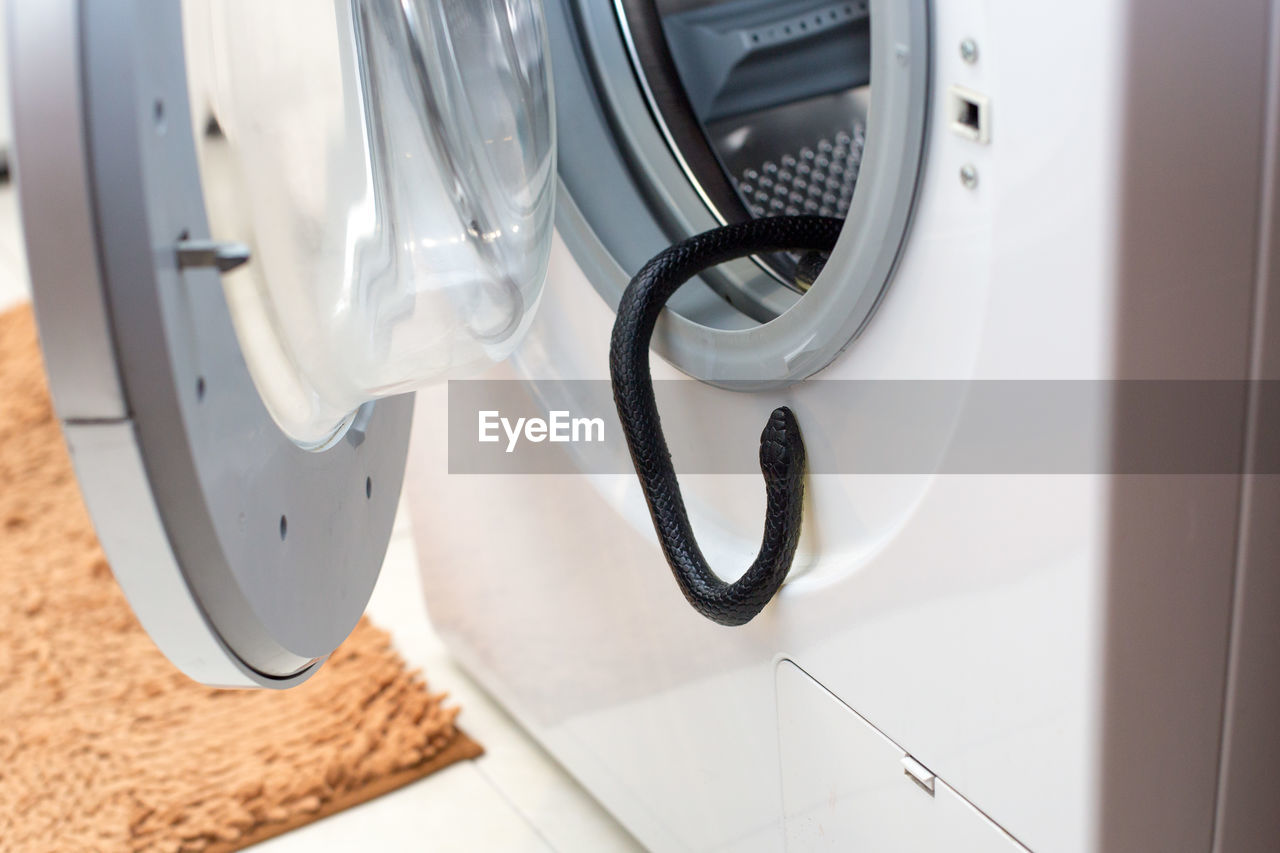 A black venomous snake hangs from the drum of the washing machine in the bathroom.