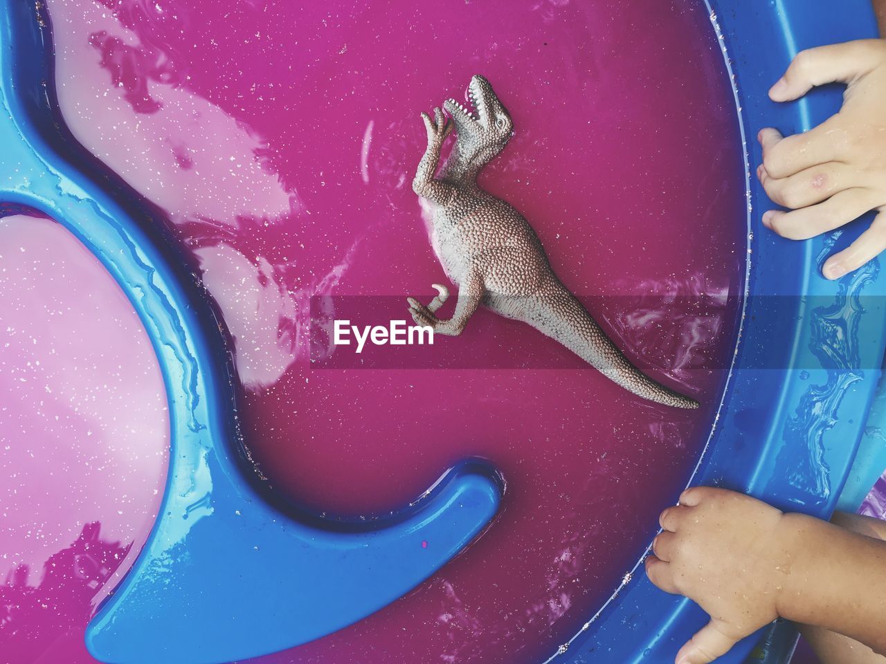 High angle view of dinosaur toy floating in pink glitter paint