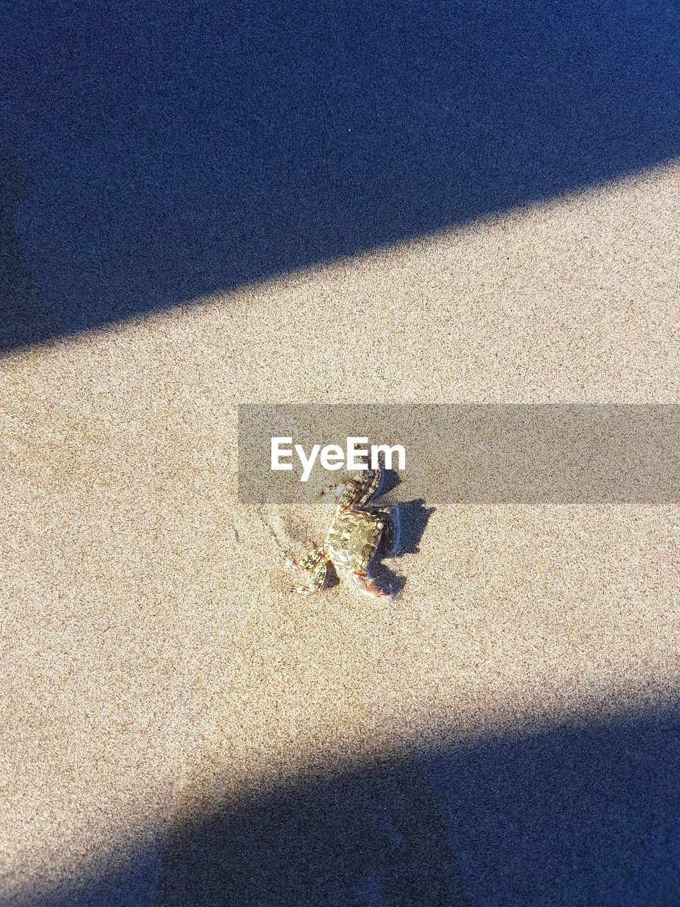 HIGH ANGLE VIEW OF SHADOW ON BEACH