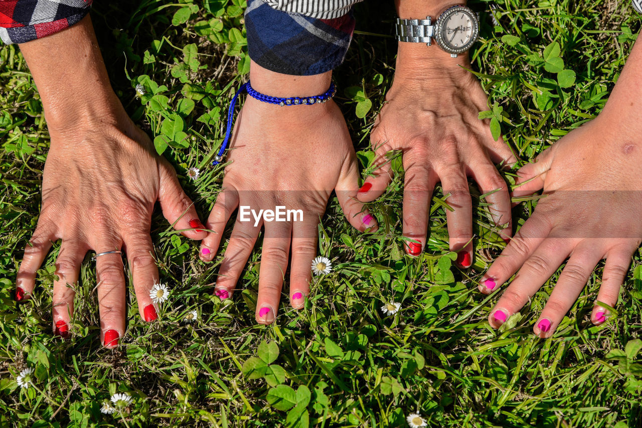 Cropped hands of female friends with nail polish on grassy field