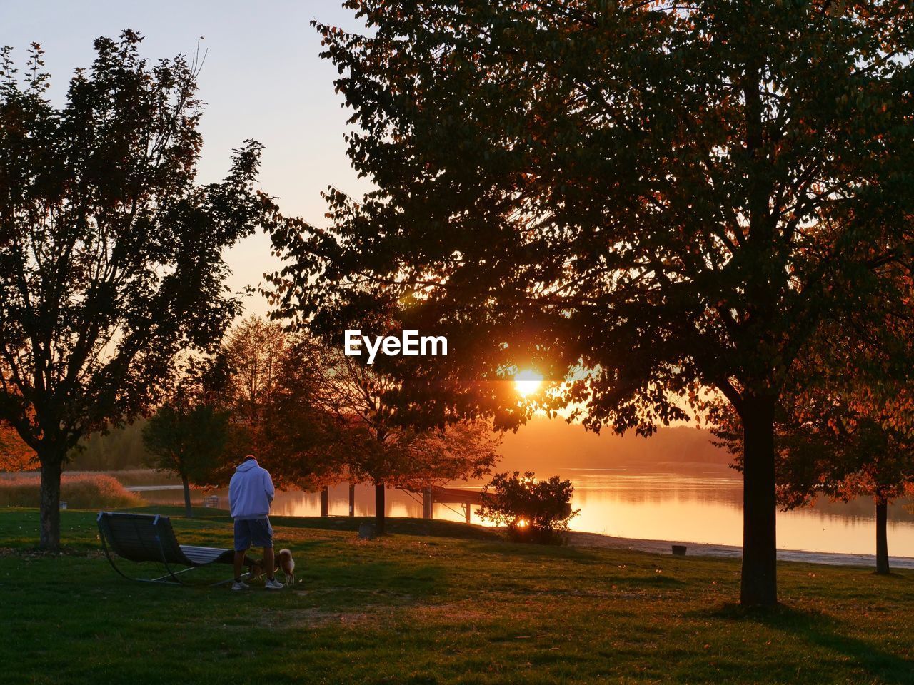Rear view of man in park during sunset