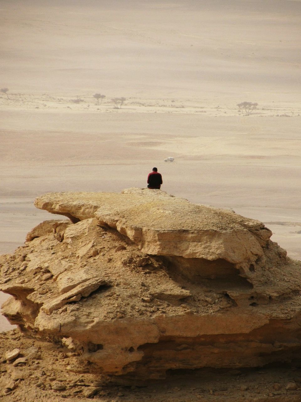 Rear view of man sitting on rock at beach