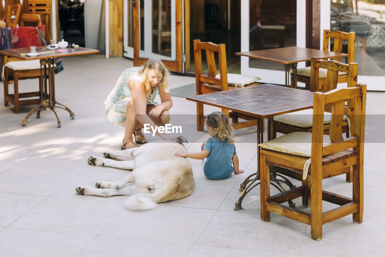 Woman with dog sitting on chair at table