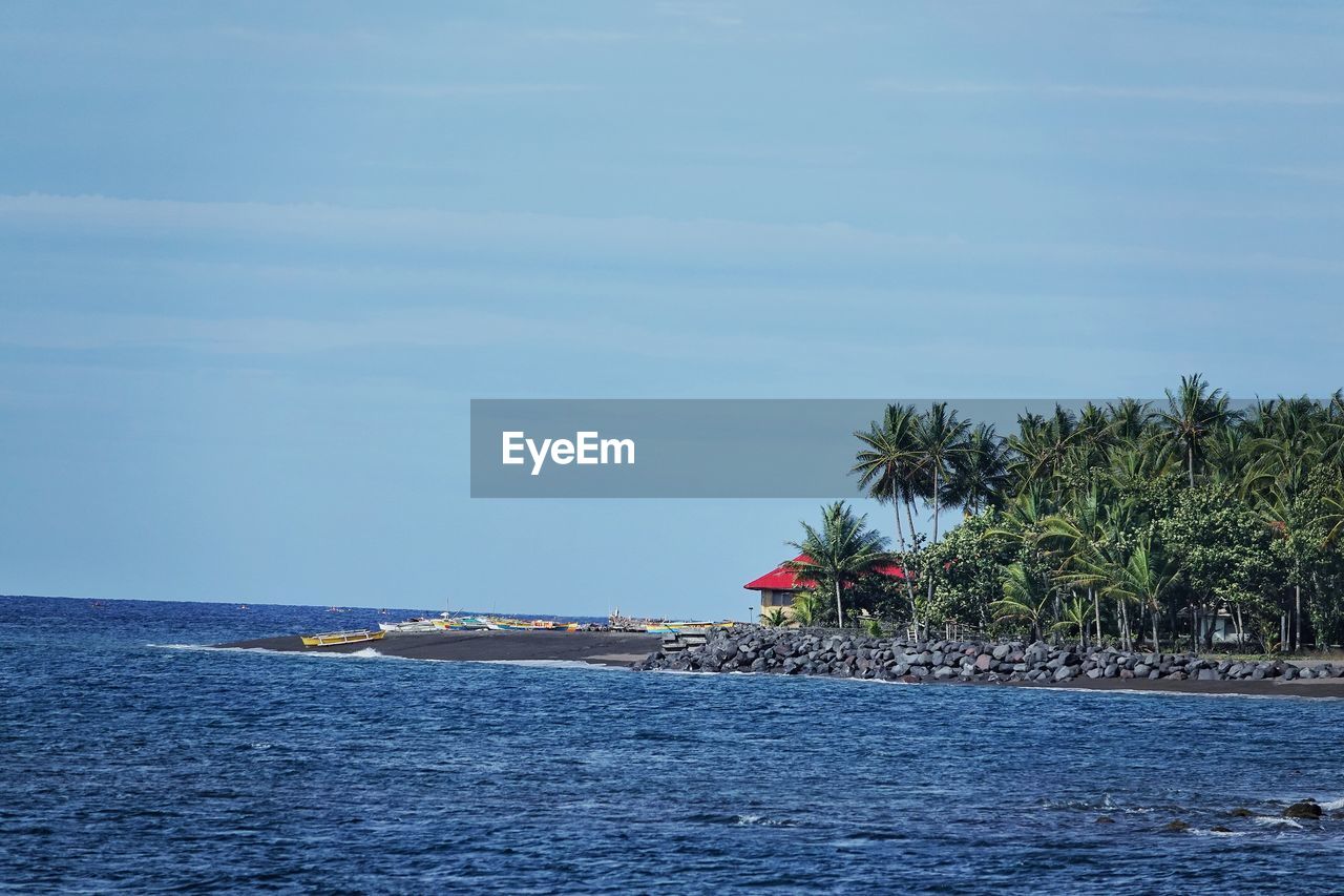 PALM TREE BY SEA AGAINST SKY