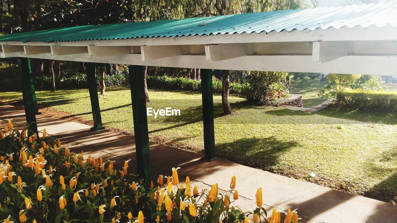 View of plants and trees in park