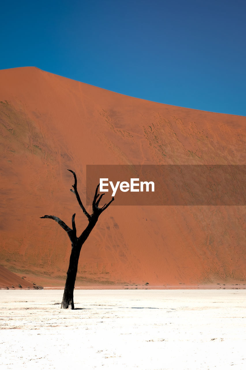 Scenic view of desert against clear sky