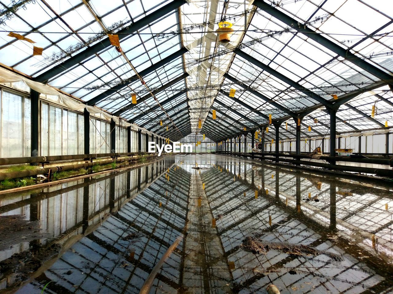 Interior of abandoned greenhouse