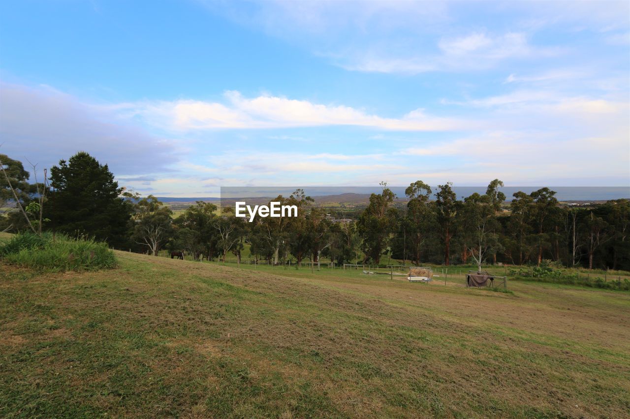 TREES ON FIELD AGAINST SKY