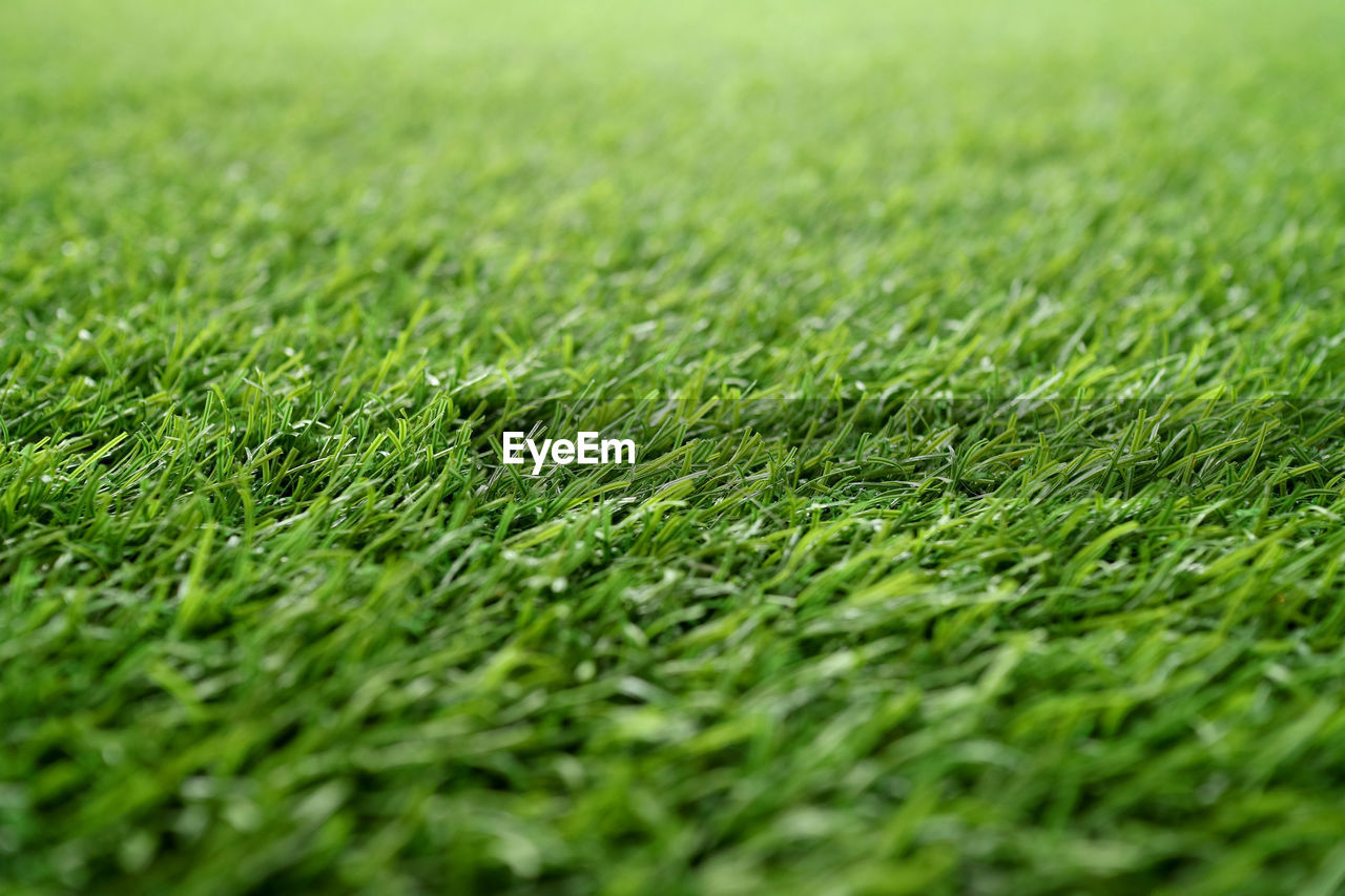 Green grass background, artificial grass on soccer field