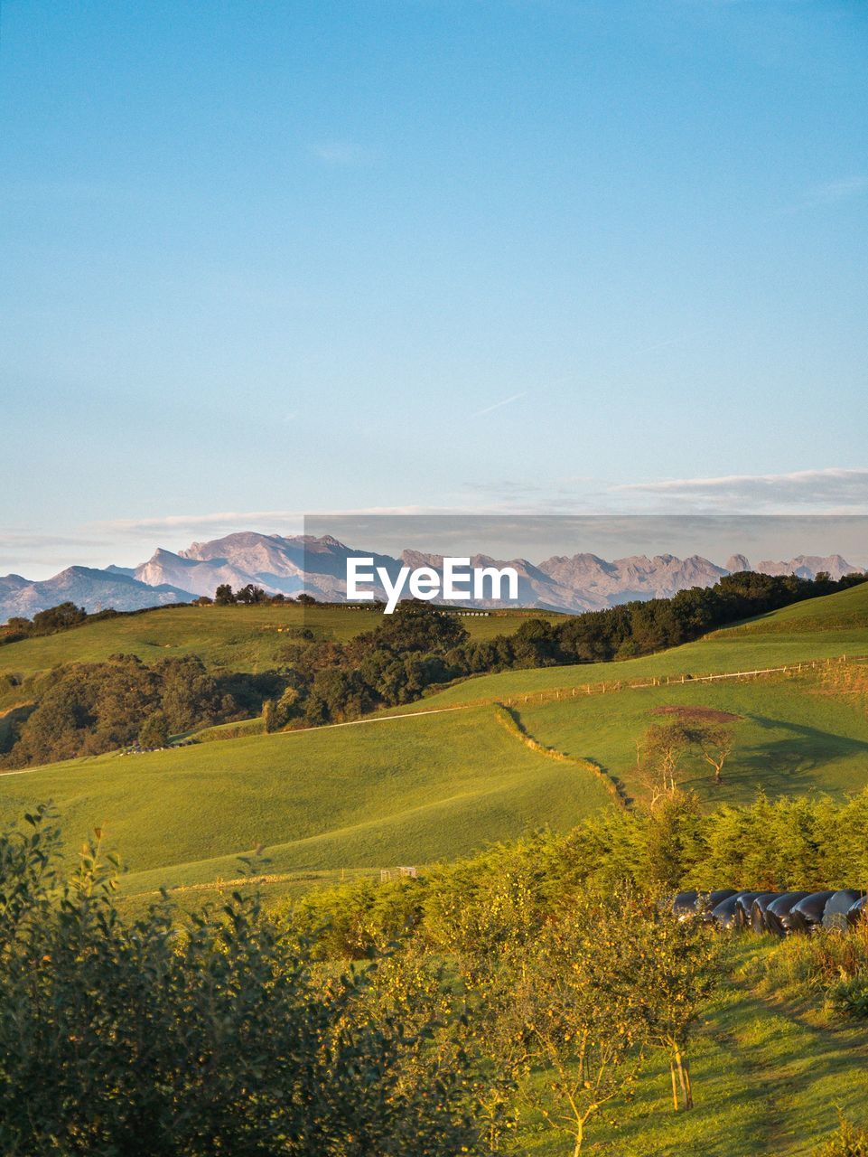 Scenic view of rural landscape with mountain range in background against clear sky