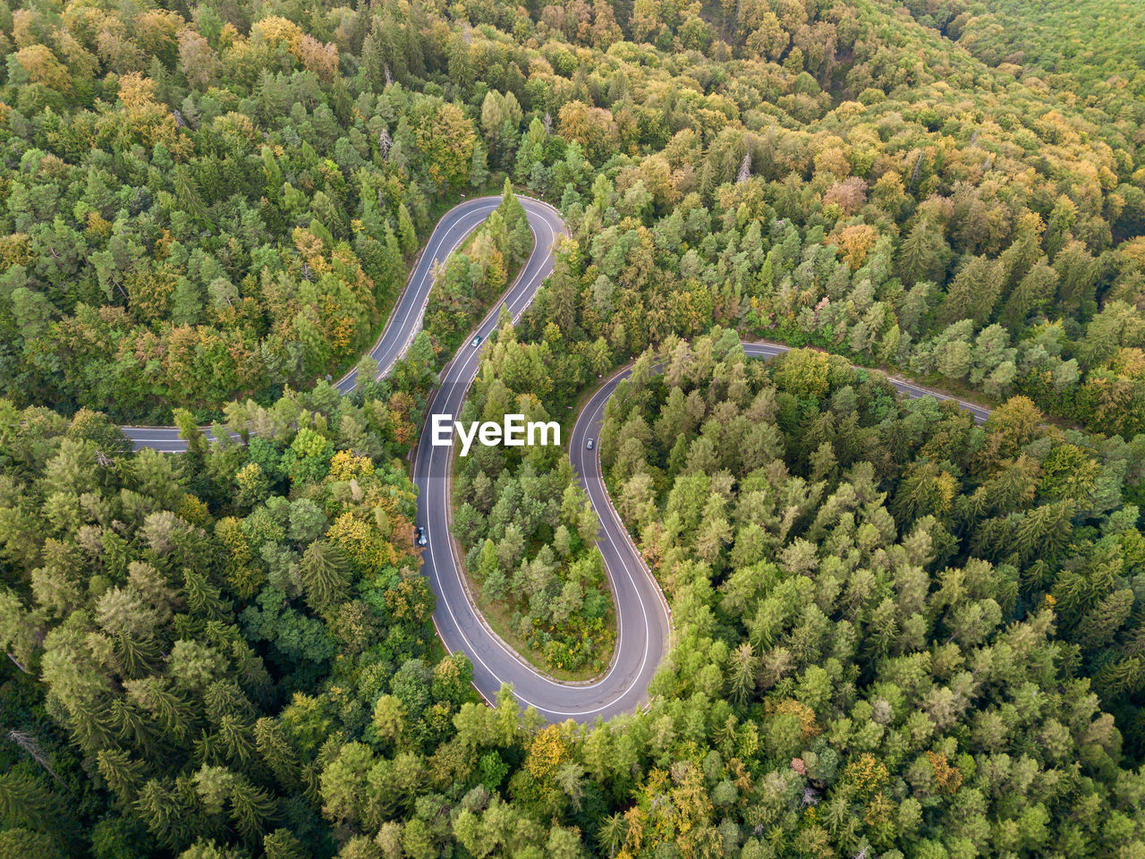 Aerial view of winding road in high mountain pass trough dense green pine woods.