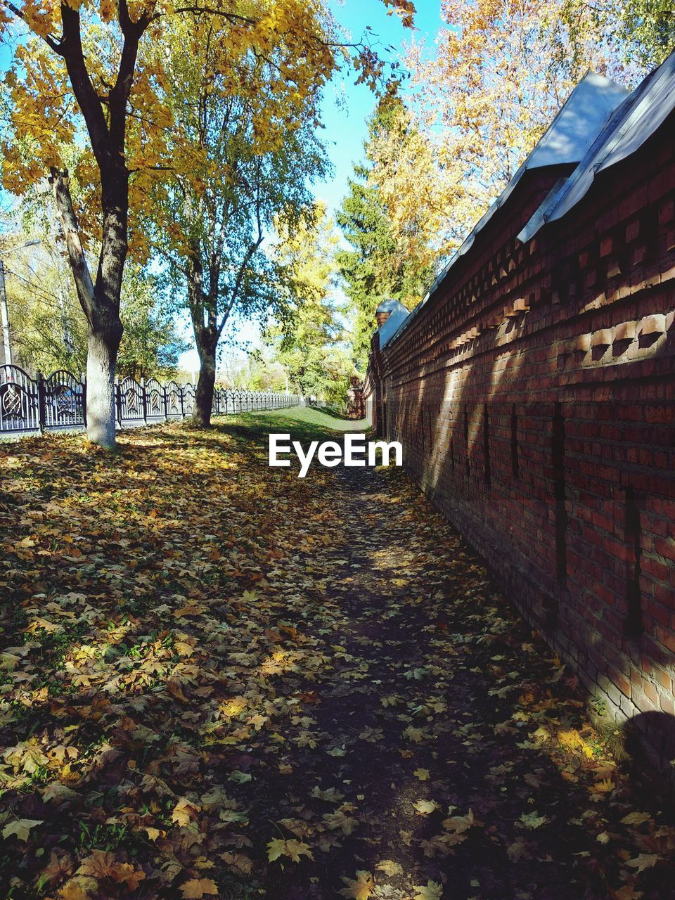 FOOTPATH AMIDST TREES DURING AUTUMN