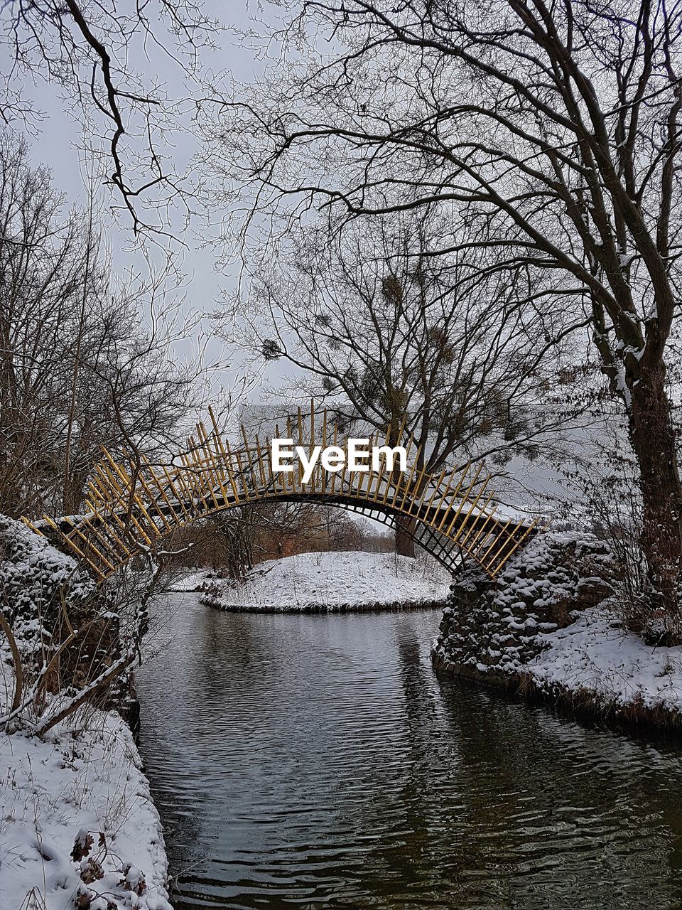 VIEW OF BARE TREES IN WINTER