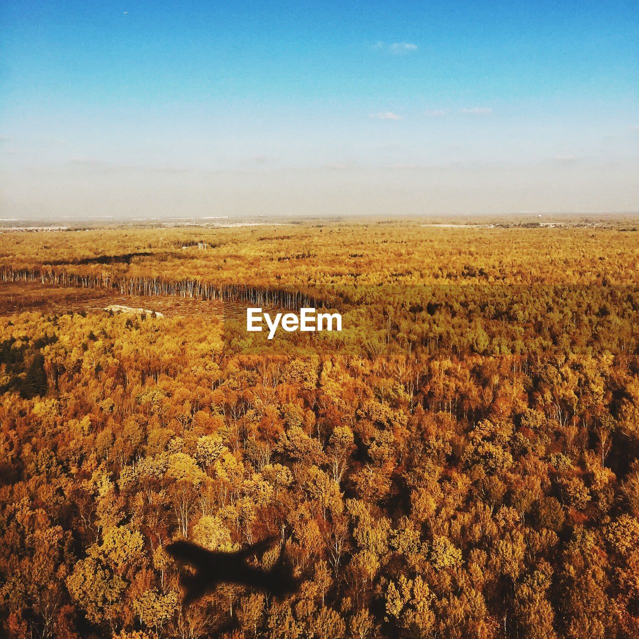 Aerial view of autumn trees on landscape against sky