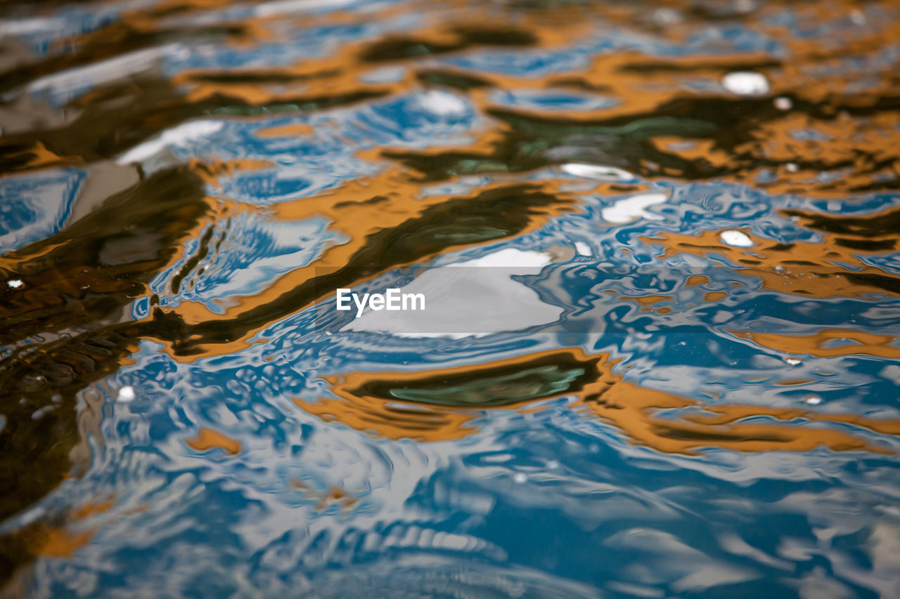 CLOSE-UP OF SWIMMING IN WATER