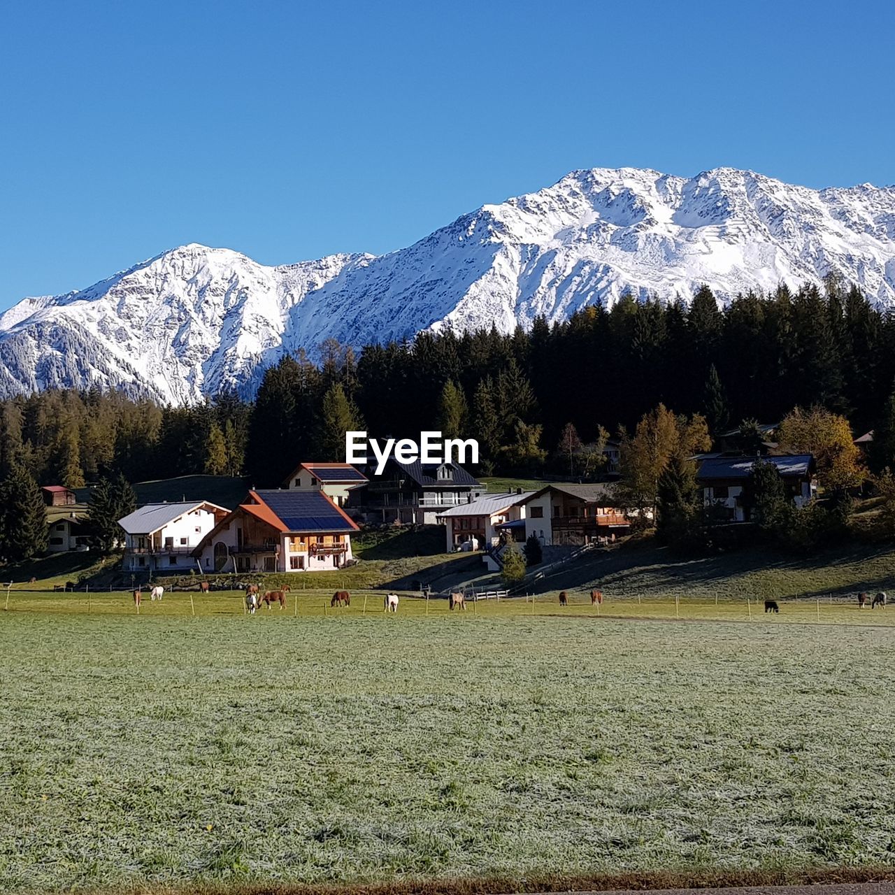 HOUSES ON FIELD AGAINST SNOWCAPPED MOUNTAINS