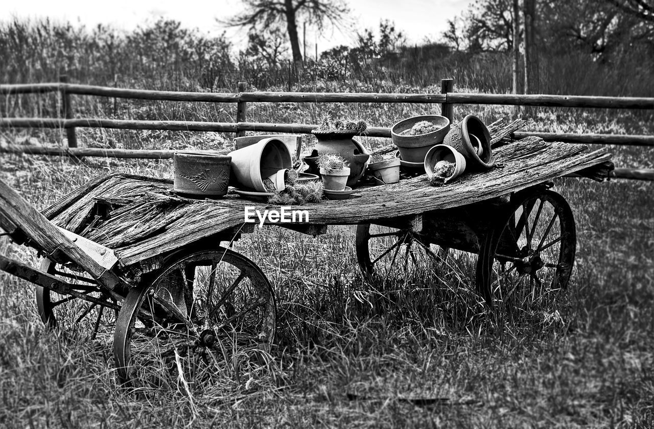 EMPTY PARK BENCH