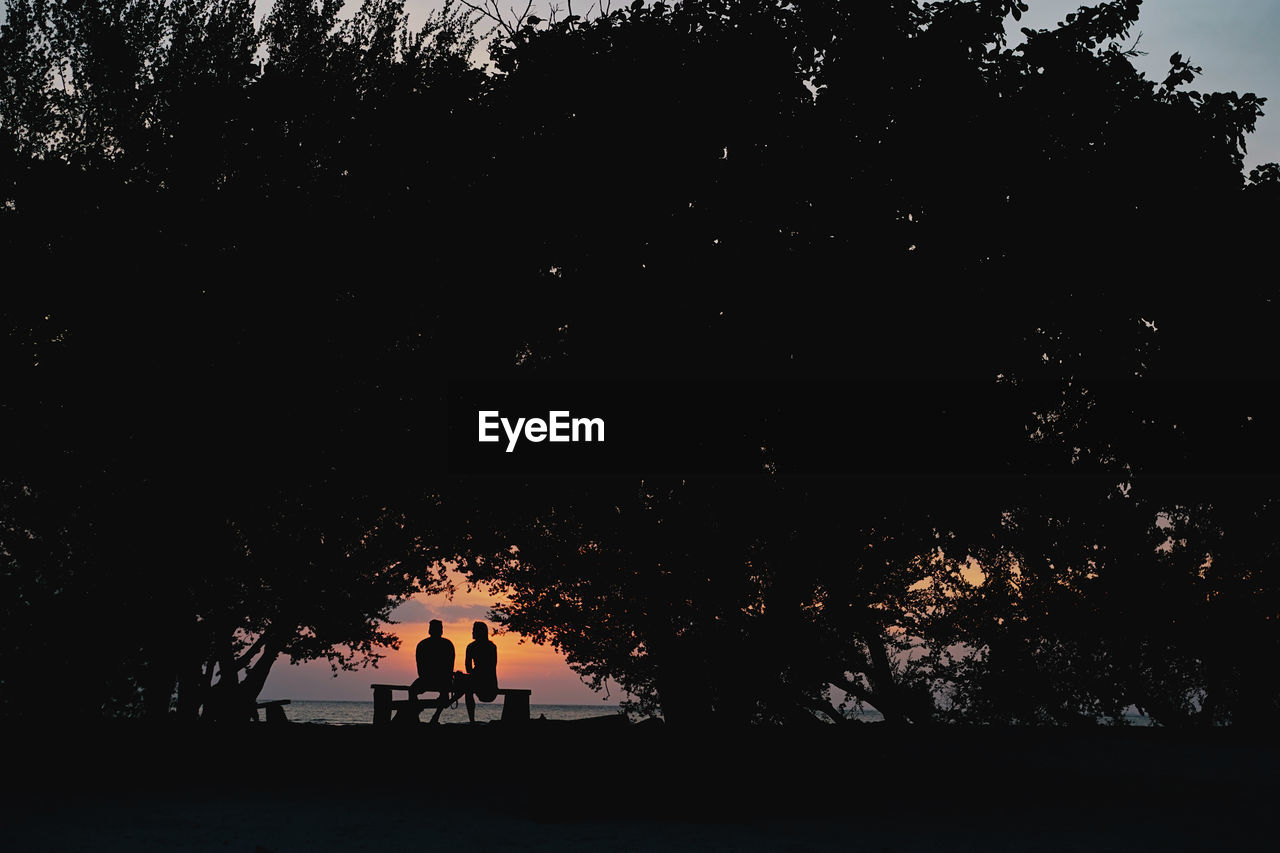 Silhouette people sitting on bench by tree against sky during sunset