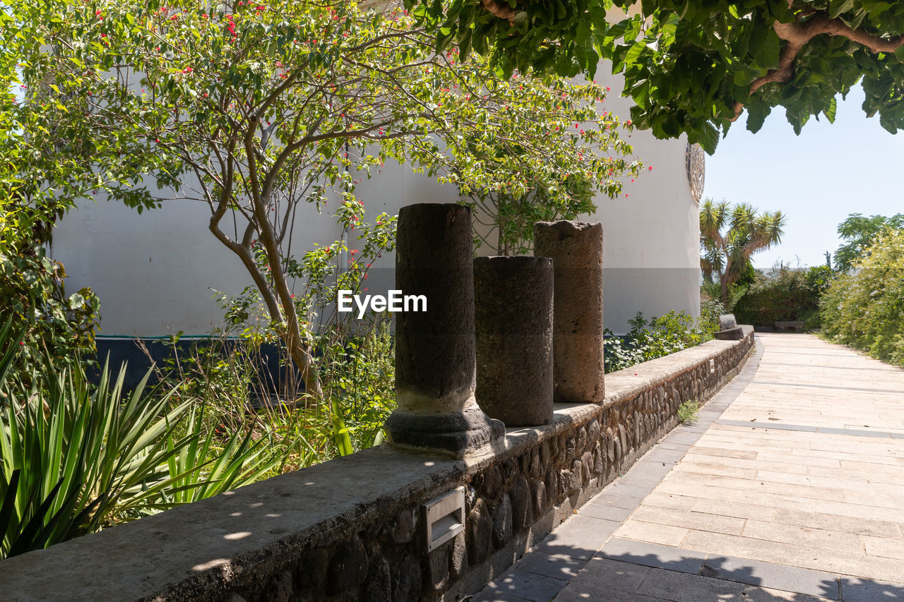 FOOTPATH AMIDST TREES AND PLANTS AT ENTRANCE