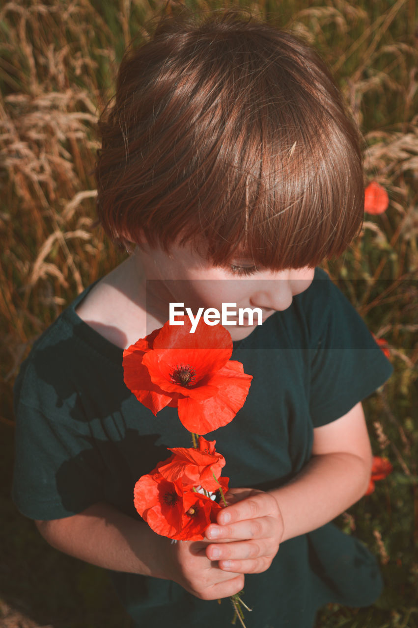 Close-up of boy holding red poppy flowers