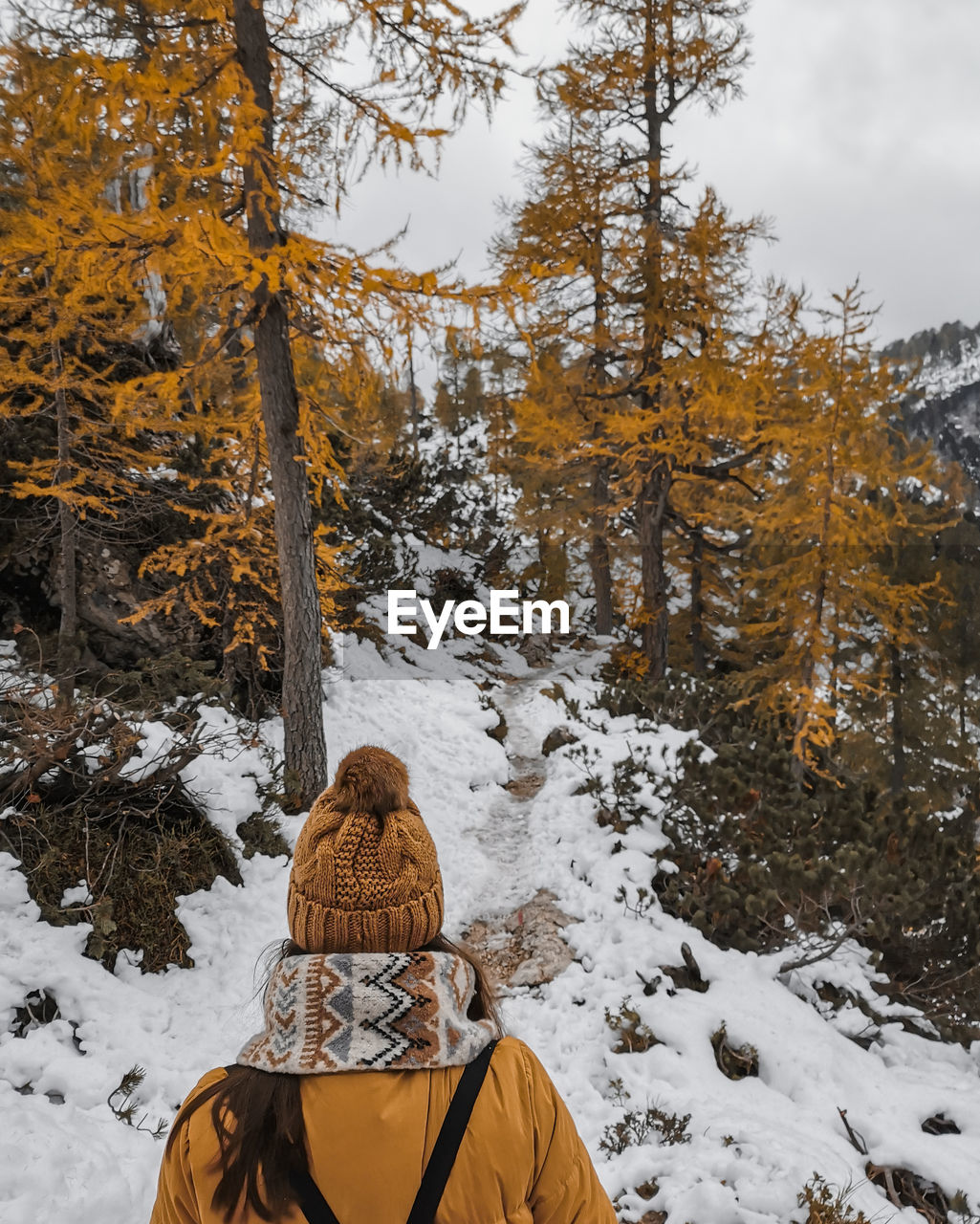 winter, snow, cold temperature, tree, nature, leisure activity, forest, warm clothing, clothing, land, plant, rear view, beauty in nature, one person, scenics - nature, wilderness, adult, pinaceae, environment, coniferous tree, mountain, pine woodland, pine tree, vacation, landscape, day, travel, holiday, autumn, trip, outdoors, lifestyles, non-urban scene, hiking, hat, tranquility, women, sky, travel destinations, tranquil scene, woodland, adventure, footwear, activity, men, deep snow, leaf, person, tourism, standing, young adult