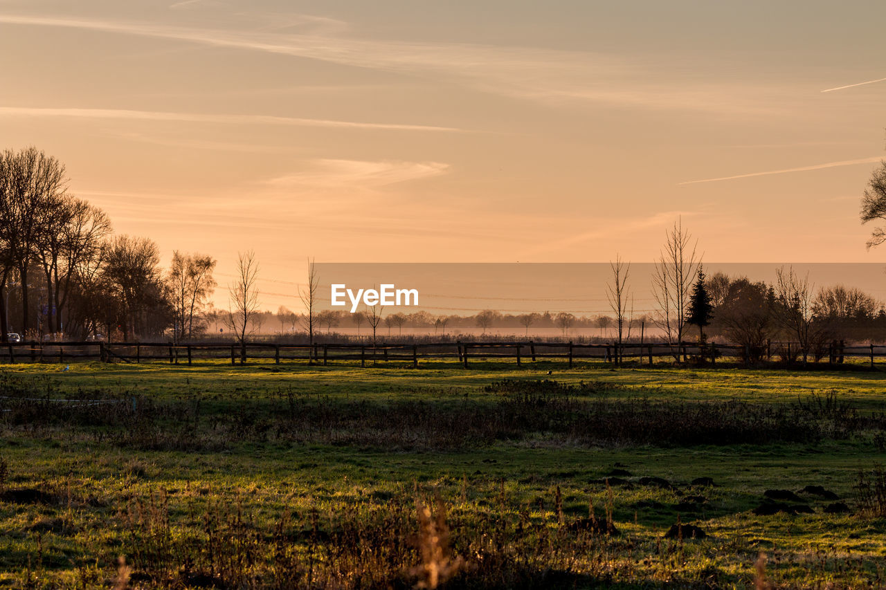 Scenic view of field against sky during sunset