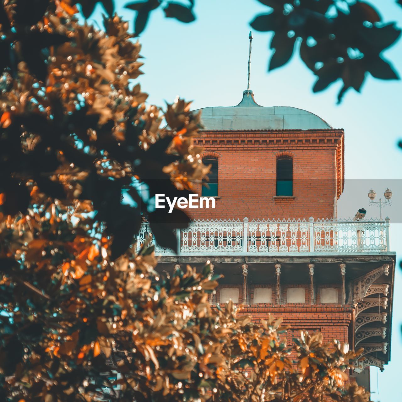 Low angle view of trees and building against sky