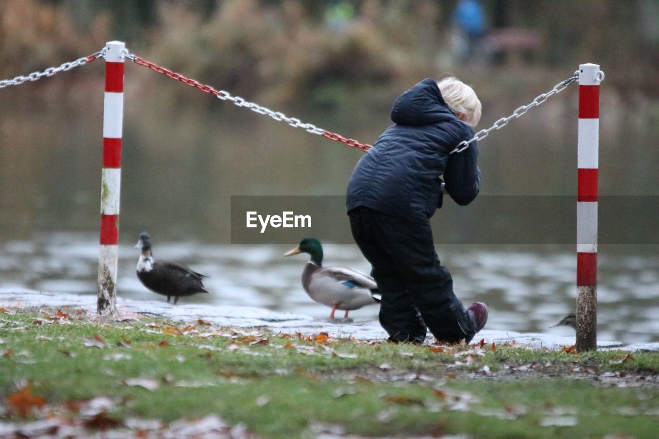 Rear view of child leaning on railing at lakeshore