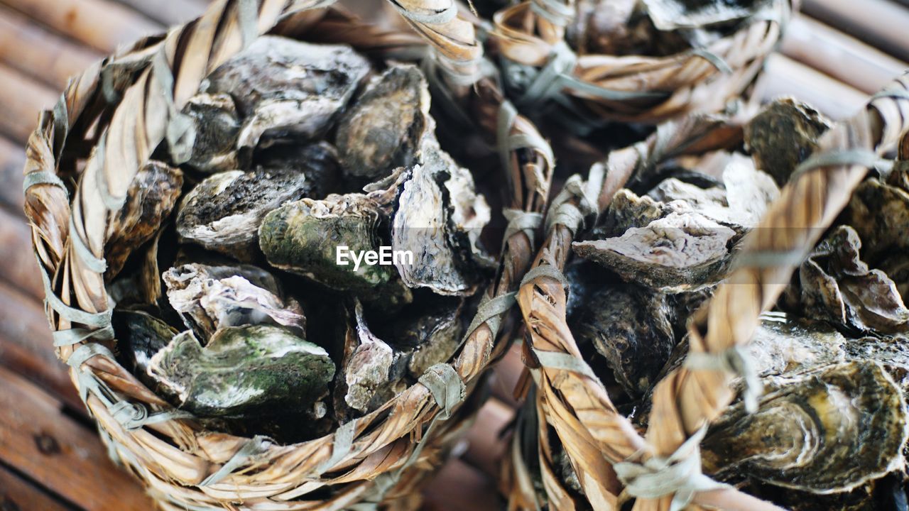 Close-up of oyster in a basket 