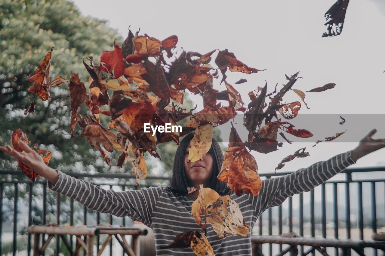 Low angle view of autumn leaves on tree