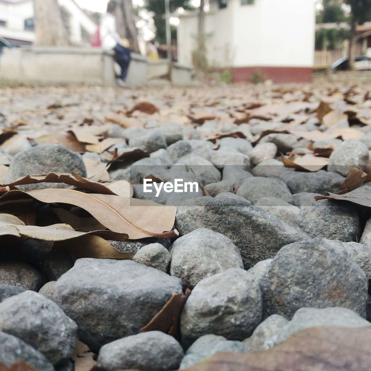 CLOSE-UP OF STONES ON ROCKS IN STREET