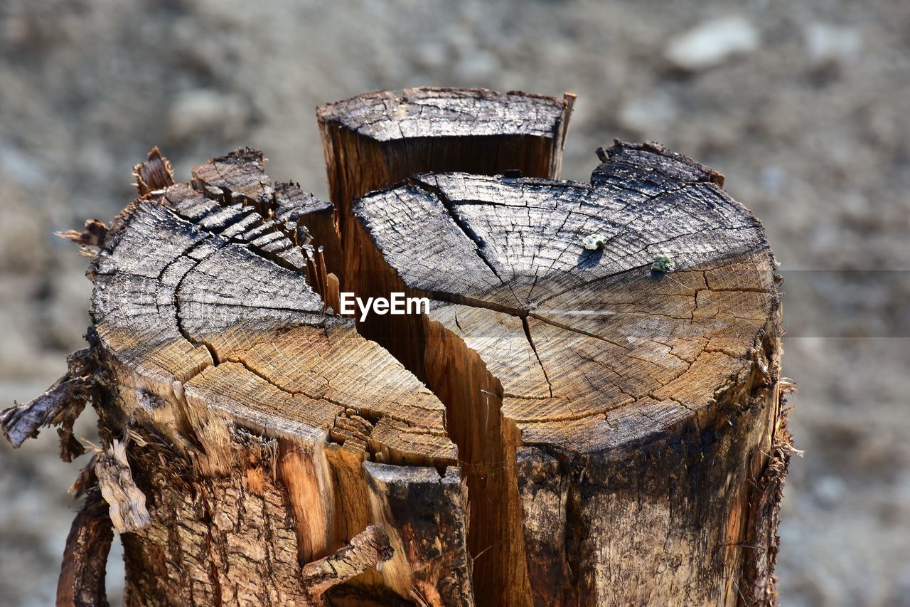 Close-up of wooden post