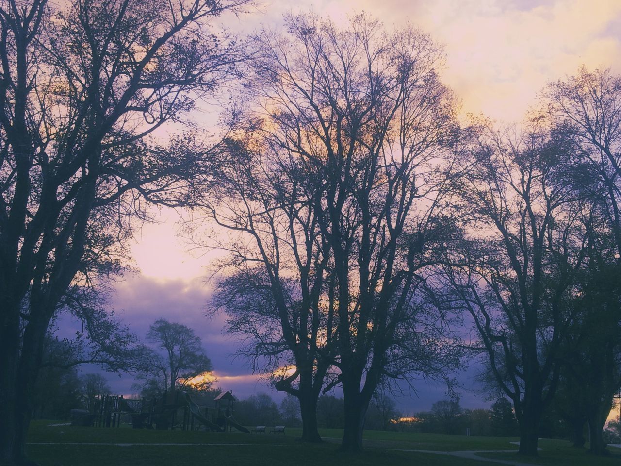 Trees on landscape against sky during sunset