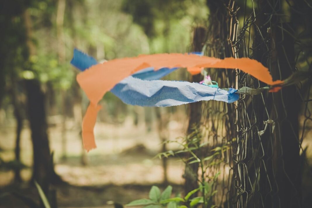 Colorful papers hanging in fence at blurred forest