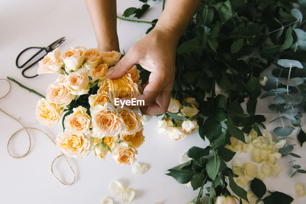 Anonymous adult hispanic female florist with dark hair in apron arranging bouquet of assorted gentle fresh flowers against white background