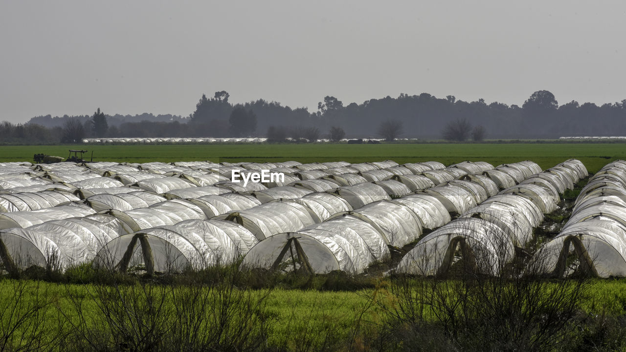 SCENIC VIEW OF FARM AGAINST SKY