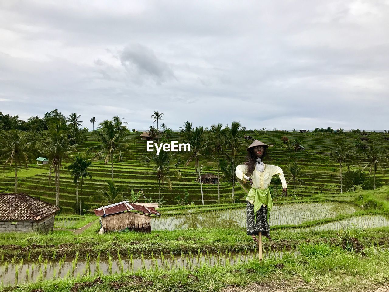 Full length of straw scarecrow doll standing on agricultural field against sky