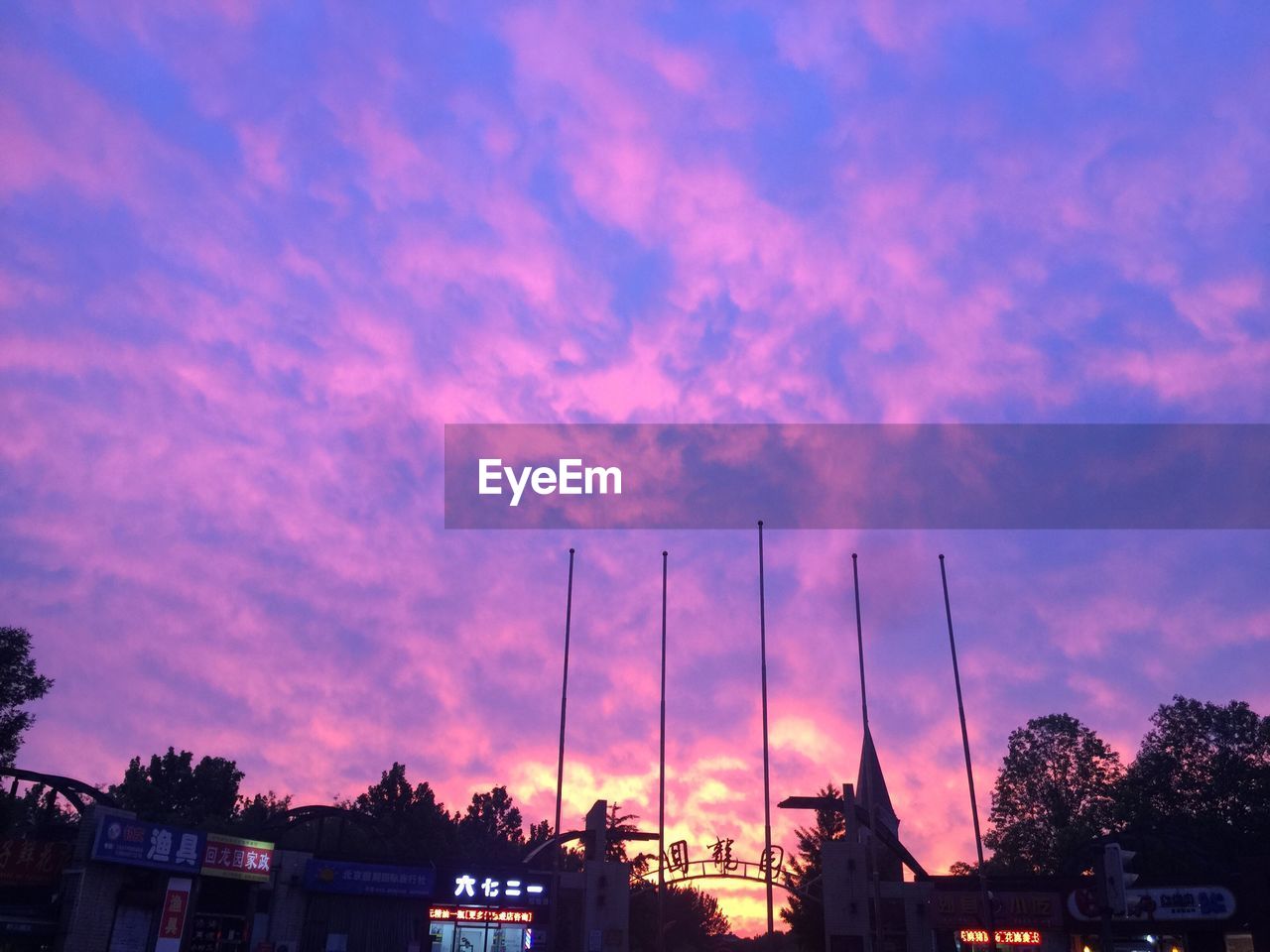 LOW ANGLE VIEW OF SILHOUETTE TREES AGAINST SUNSET SKY