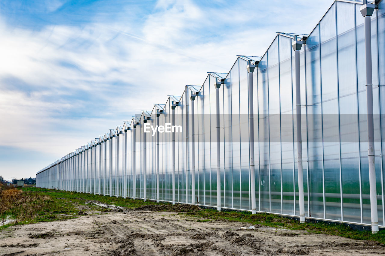 Row of greenhouses for growing vegetables. perspective effect.
