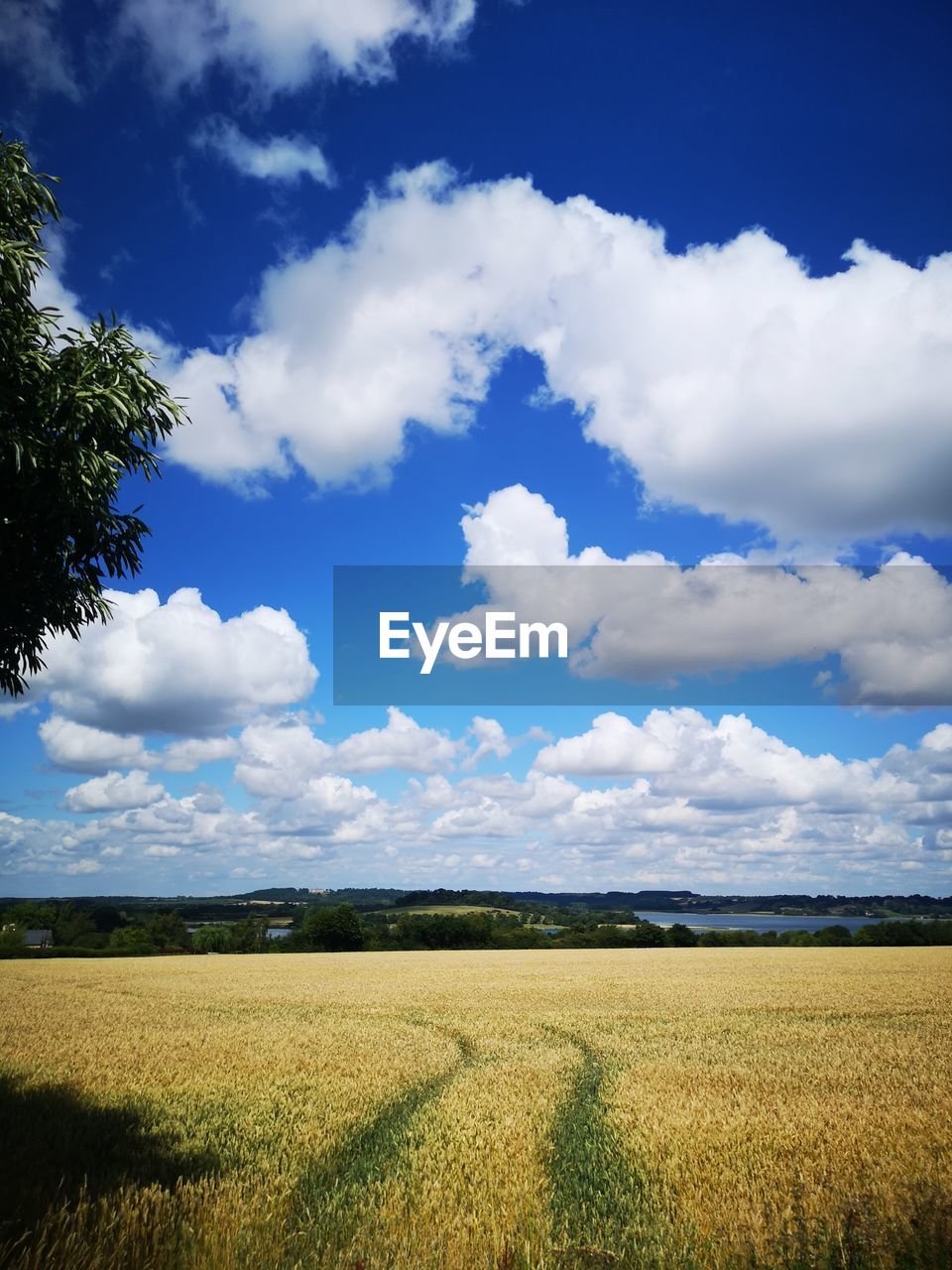 SCENIC VIEW OF FARM FIELD AGAINST SKY