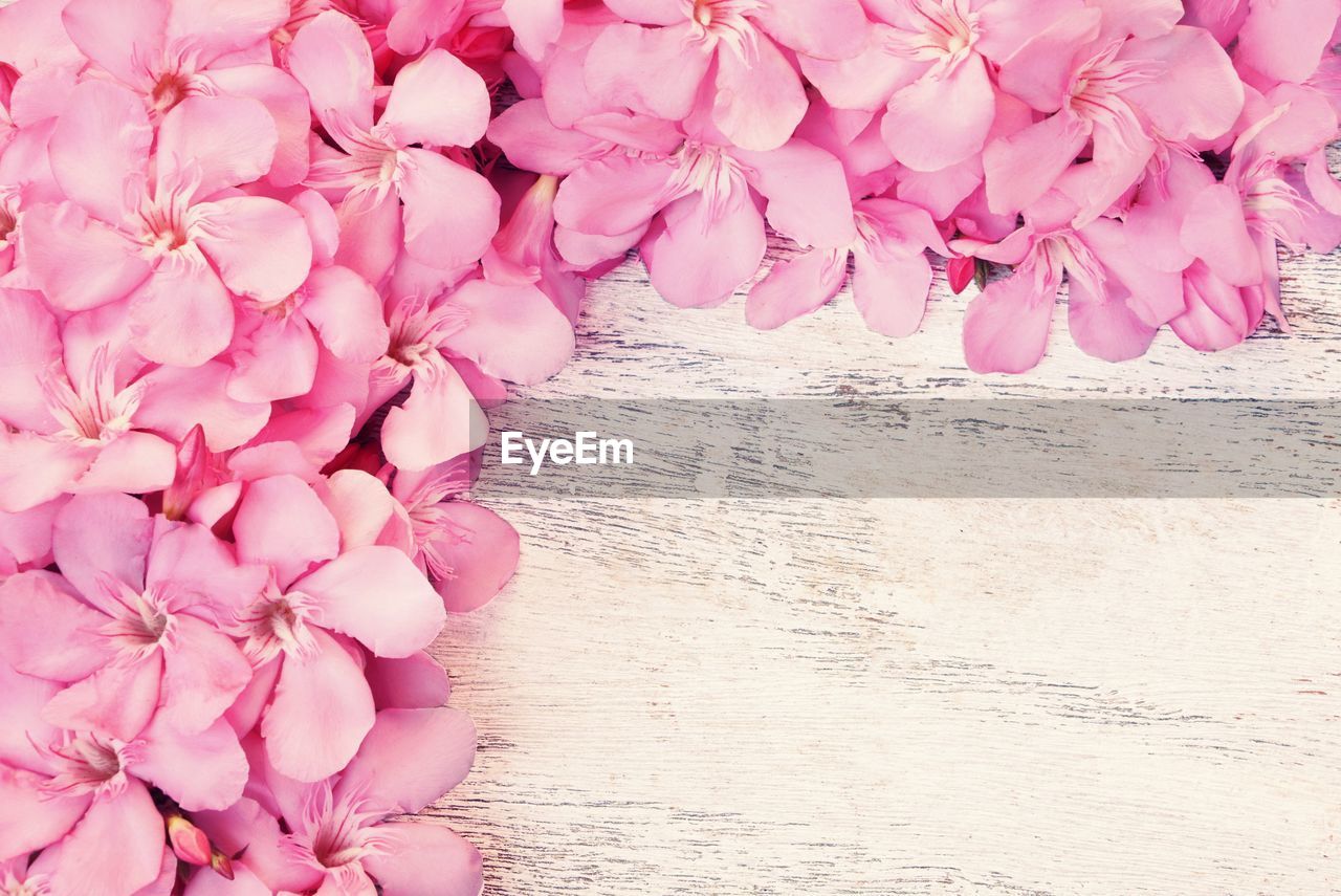CLOSE-UP OF PINK ROSES ON TABLE