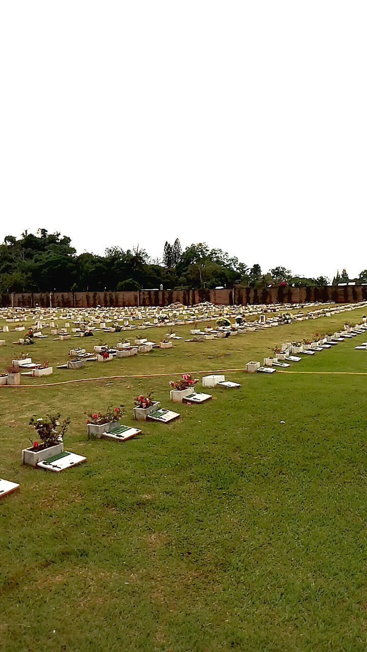 PANORAMIC VIEW OF FIELD AGAINST SKY