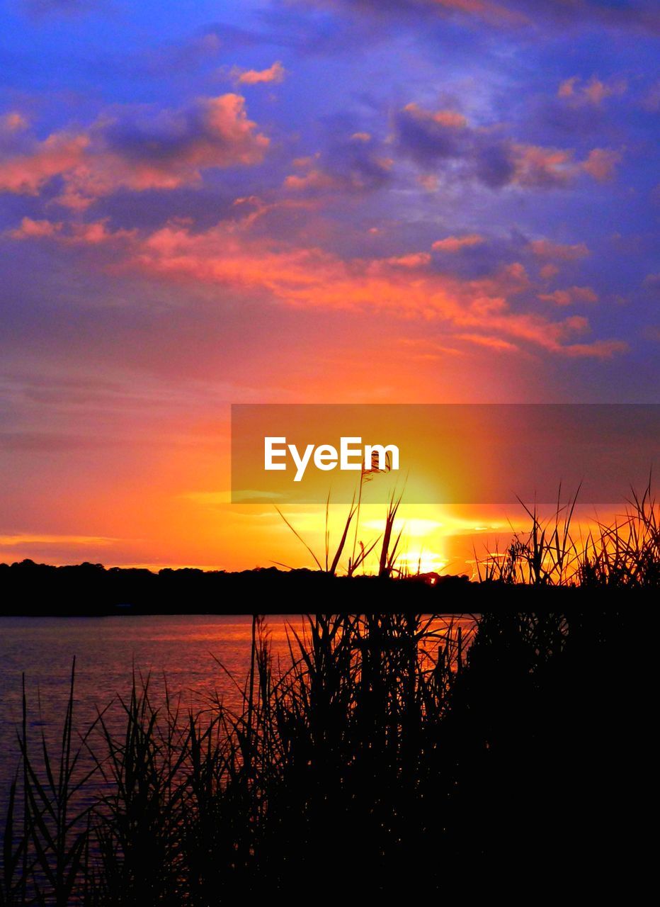 SILHOUETTE PLANTS BY LAKE AGAINST ORANGE SKY