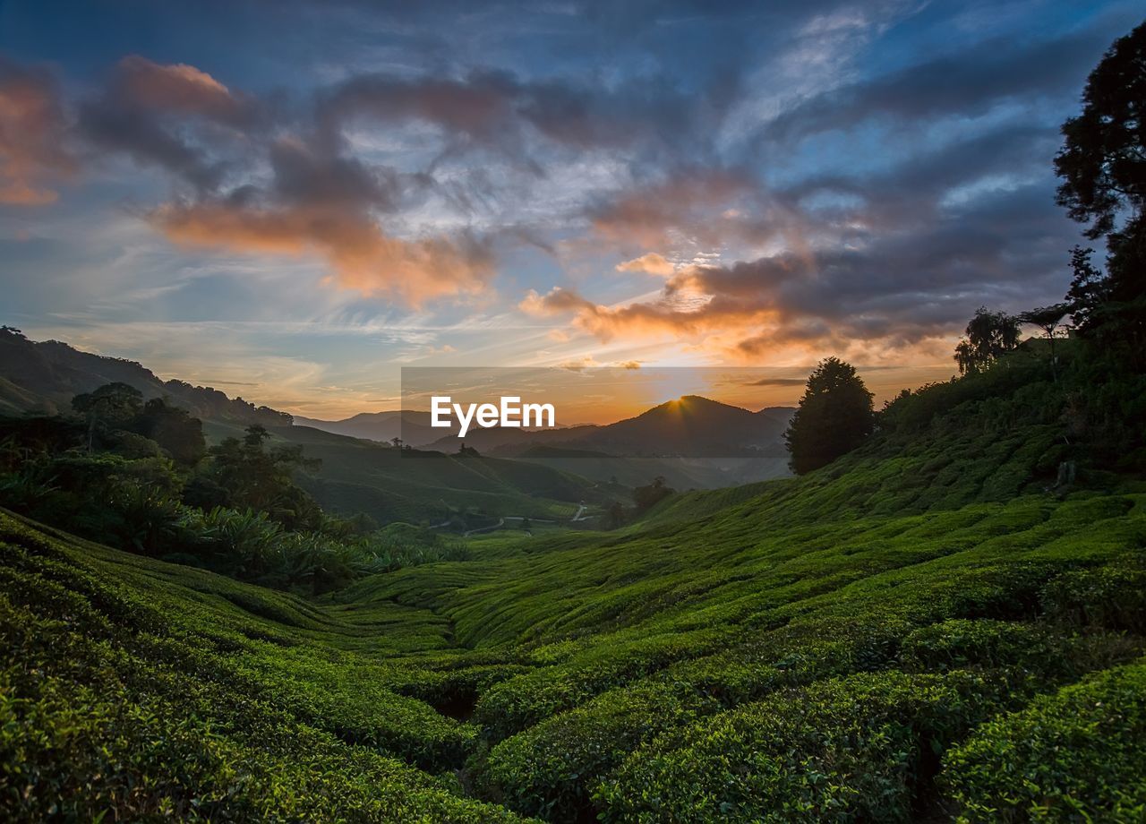 SCENIC VIEW OF LANDSCAPE AGAINST SKY DURING SUNSET