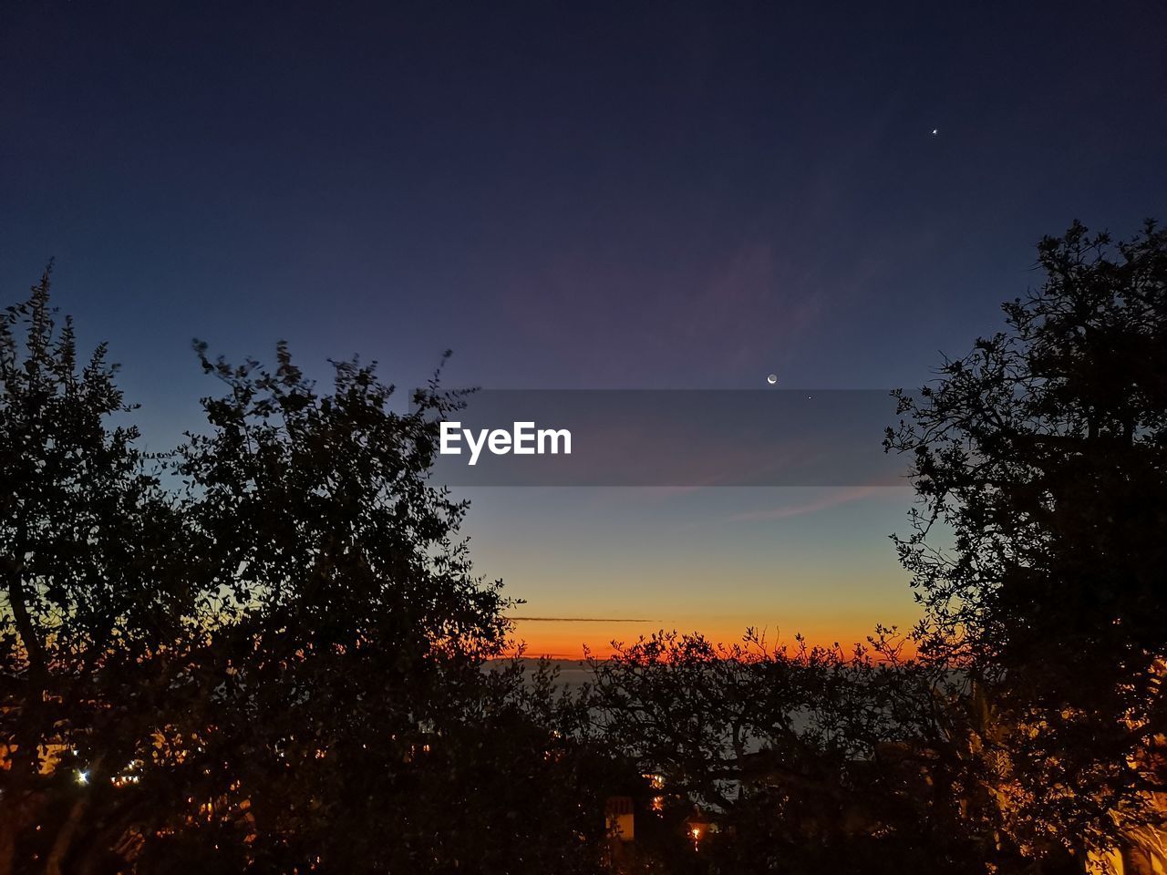 SILHOUETTE TREES ON LANDSCAPE AGAINST SKY AT SUNSET