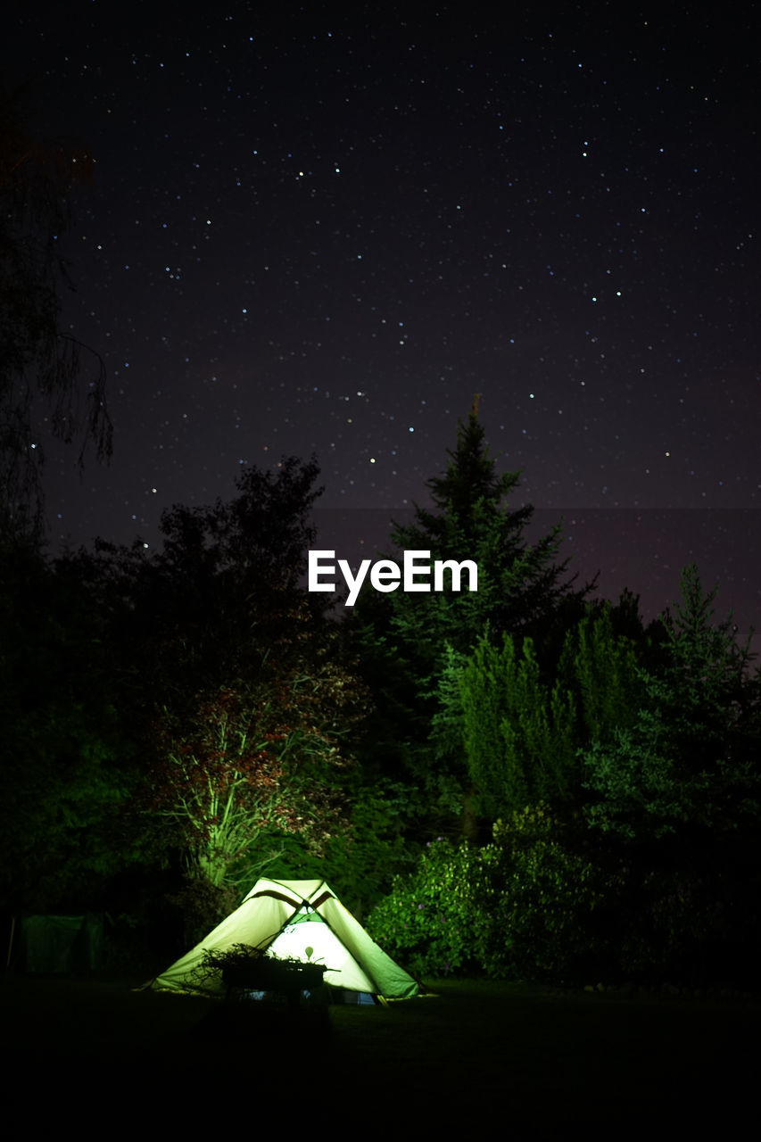 Illuminated green camping tent under star sky with fir tree in background